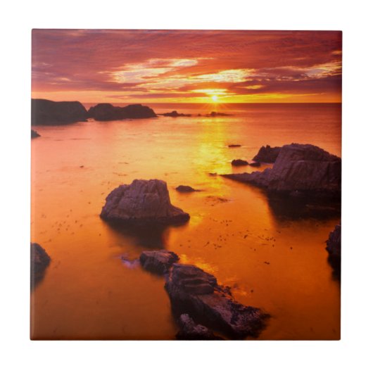 オレンジ色の海の風景、夕日、カリフォルニア タイル (正面)