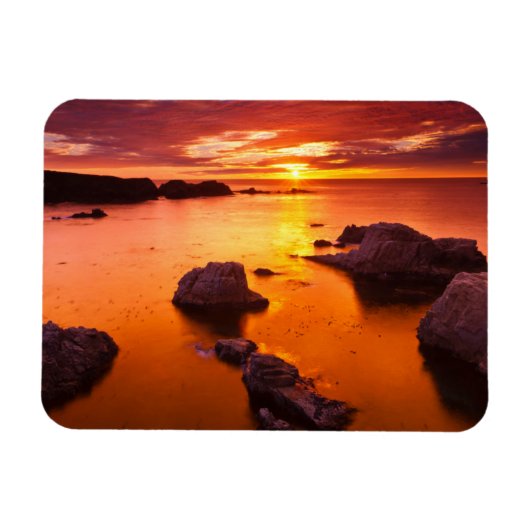 オレンジ色の海の風景、夕日、カリフォルニア マグネット (横)