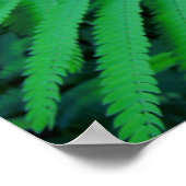 オレンジ色の熱帯花 ポスター (角)