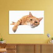 オレンジ色の猫が倒れる キャンバスプリント (インサイチュ (リビング))