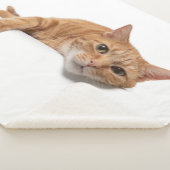 オレンジ色の猫が倒れる シェルパブランケット (3/4)