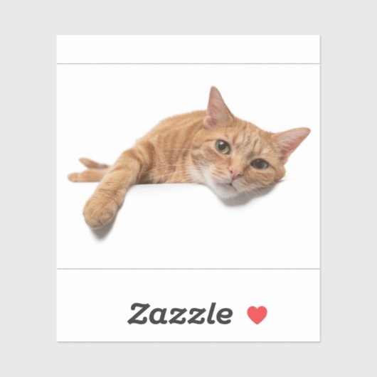 オレンジ色の猫が倒れる シール (シート)