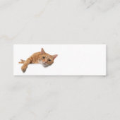 オレンジ色の猫が倒れる スキニー名刺 (正面)