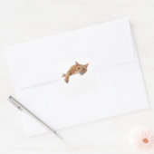 オレンジ色の猫が倒れる スクエアシール (封筒)