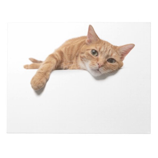 オレンジ色の猫が倒れる ノートパッド (正面)