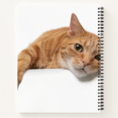 オレンジ色の猫が倒れる ノートブック (裏面)