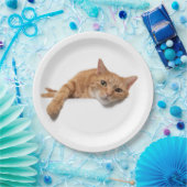 オレンジ色の猫が倒れる ペーパープレート (パーティー)