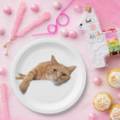 オレンジ色の猫が倒れる ペーパープレート (パーティー)