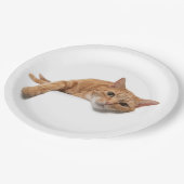 オレンジ色の猫が倒れる ペーパープレート (アングル)