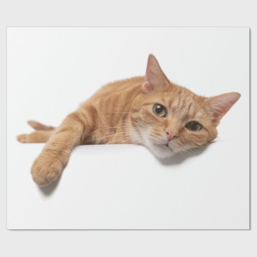 オレンジ色の猫が倒れる ラッピングペーパー (フラット)