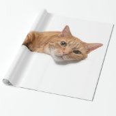 オレンジ色の猫が倒れる ラッピングペーパー (アンロールド)