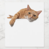 オレンジ色の猫が倒れる ワインラベル (シングルラベル)