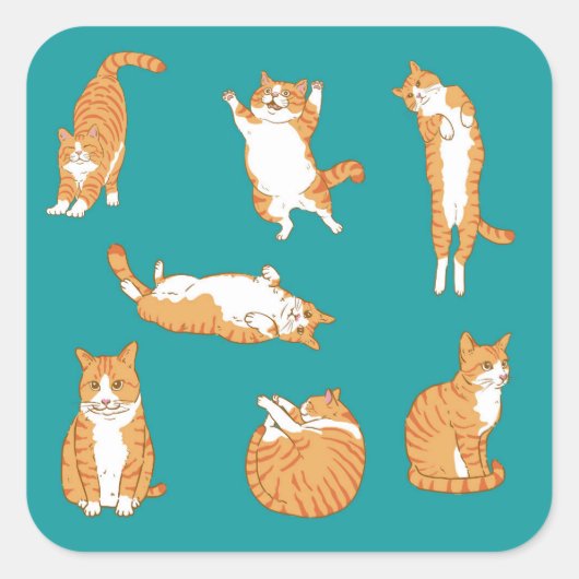 オレンジ色の猫が面白い スクエアシール (正面)