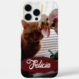 オレンジ色の猫の写真と名前をカスタマイズ可能 ,  iPhone 16 PRO MAXケース