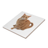 オレンジ色の猫立ち タイル (側面)