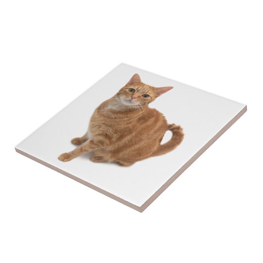 オレンジ色の猫立ち タイル (側面)