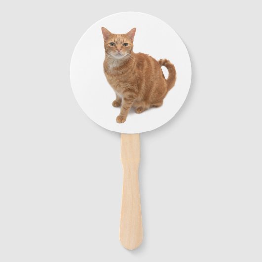 オレンジ色の猫立ち ハンドファン (正面)
