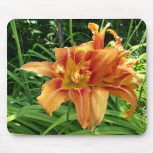 オレンジ色の白花(横) マウスパッド