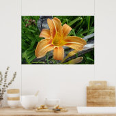 オレンジ色の白蓮 – タイガーリリー – 花。 ポスター (キッチン)