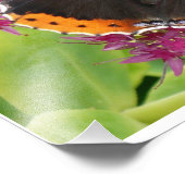 オレンジ色の白黒バタフライポスター フォトプリント            (角)