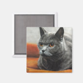 オレンジ色の目で休んでいる灰色の猫 マグネット (正面/裏面)