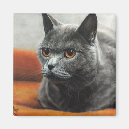 オレンジ色の目で休んでいる灰色の猫 マグネット