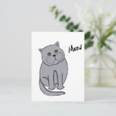 オレンジ色の目をした夢見心地の猫 ポストカード (スタンド正面)