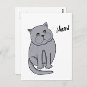 オレンジ色の目をした夢見心地の猫 ポストカード (正面/裏面)