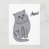 オレンジ色の目をした夢見心地の猫 ポストカード (正面)