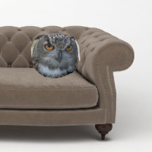 オレンジ色の目を持つユーラシアイーグルフクロウ