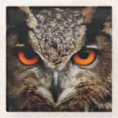 オレンジ色の目を持つ上に閉じたフクロウ ガラスコースター (正面)