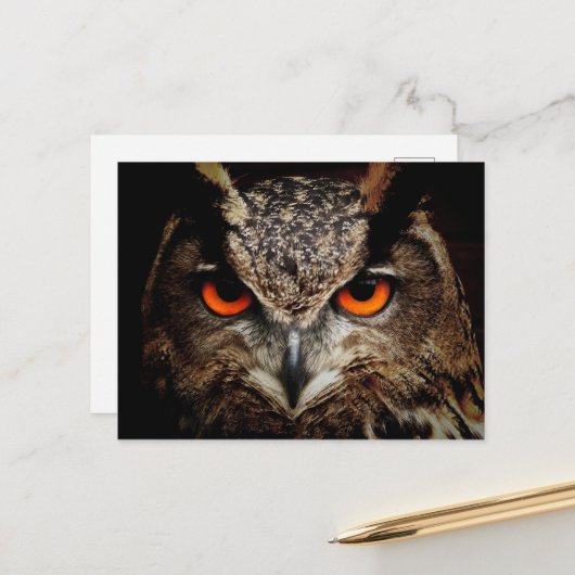 オレンジ色の目を持つ上に閉じたフクロウ ポストカード (正面/裏面インサイチュ)
