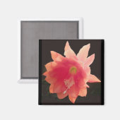 オレンジ色の着生磁石 マグネット (正面/裏面)