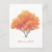 オレンジ色の秋の木モダンの水色 シーズンポストカード (正面)