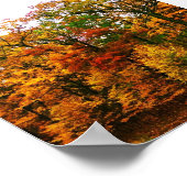 オレンジ色の秋の木 ポスター (角)