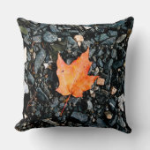 オレンジ色の秋の葉が黒い岩に クッション (正面)