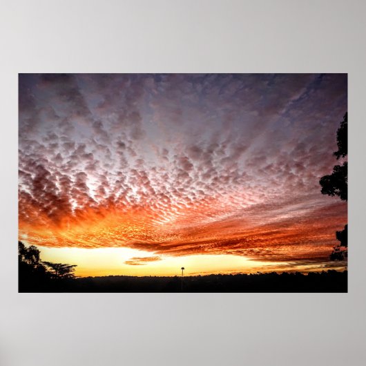 オレンジ色の空 ポスター (正面)