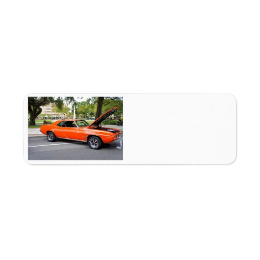 オレンジ色の筋肉 ラベル (正面)