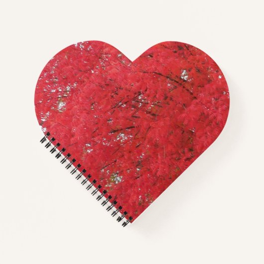 オレンジ色の紅葉ノート ノートブック (正面)