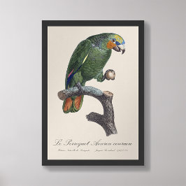 オレンジ色の翼のアマゾン フォトプリント