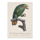 オレンジ色の翼のアマゾン フォトプリント            (正面)