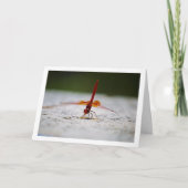 オレンジ色の翼を持つアキズキトンボ カード (正面)