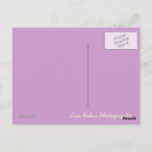 オレンジ色の花が付いたポストカード ポストカード (裏面)