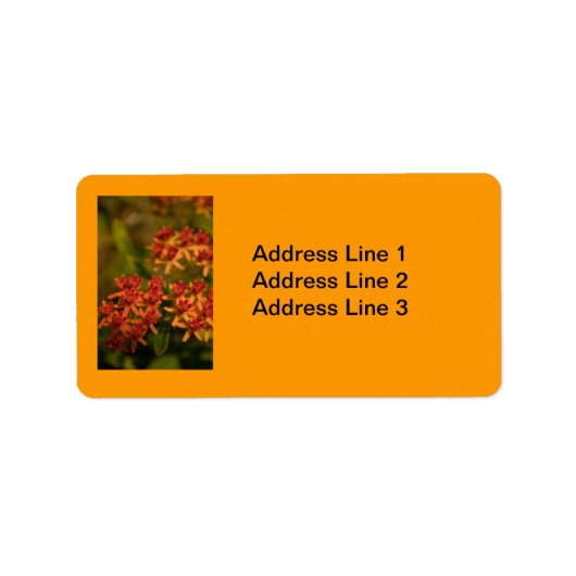 オレンジ色の花が煙たい山のラベル ラベル (正面)