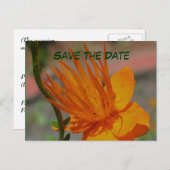 オレンジ色の花の写真はがきを保存する 案内ポストカード (正面/裏面)