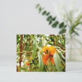 オレンジ色の花はがき ポストカード (スタンド正面)