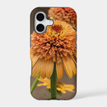オレンジ色の花喜び