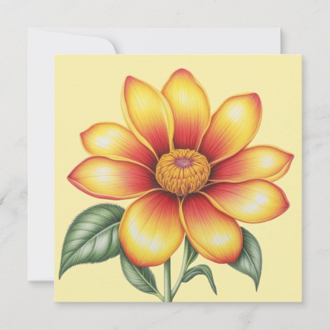 オレンジ色の花 (正面)