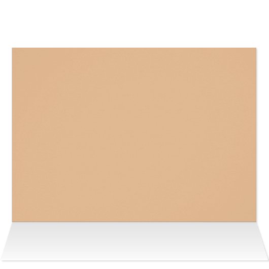 オレンジ色の花 (内部横(上))