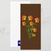 オレンジ色の花 (正面/裏面)